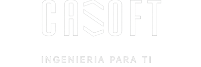 casoft.com.mx